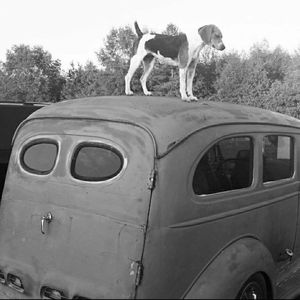 Meet your Posher, Christy